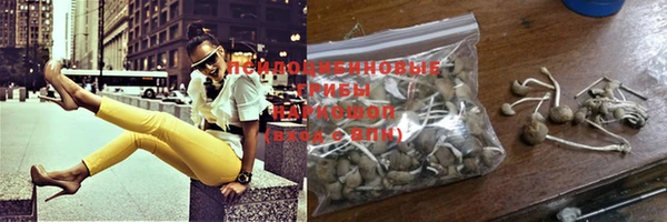 кокаин Новодвинск
