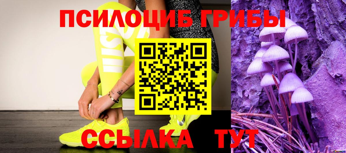 Галлюциногенные грибы GOLDEN TEACHER  Краснознаменск 