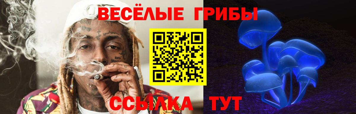 Псилоцибиновые грибы Psilocybe Краснознаменск